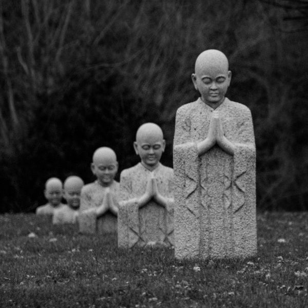 reincarnation